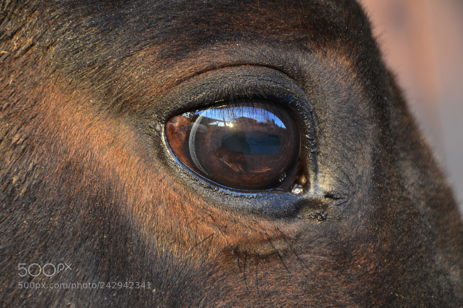 Nikon D3200 sample photo. Untitled photography