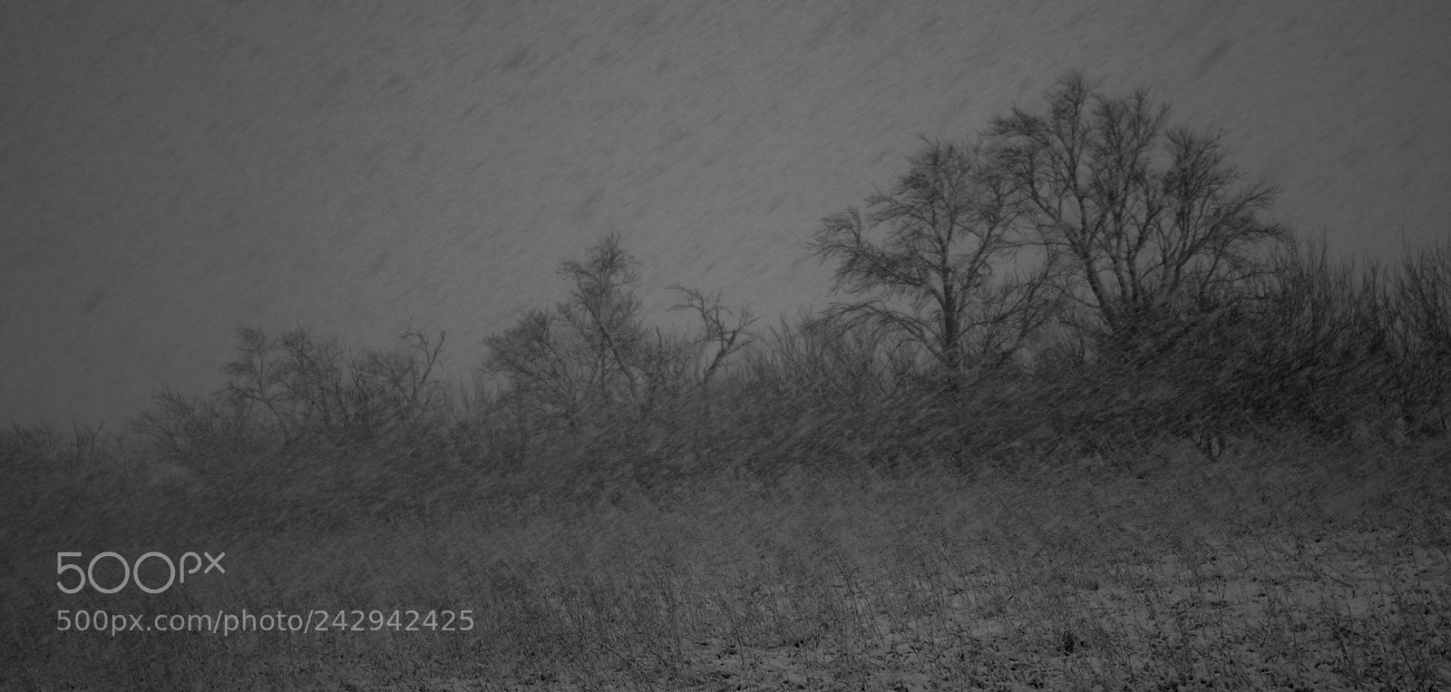 Pentax K-5 II sample photo. Torm photography