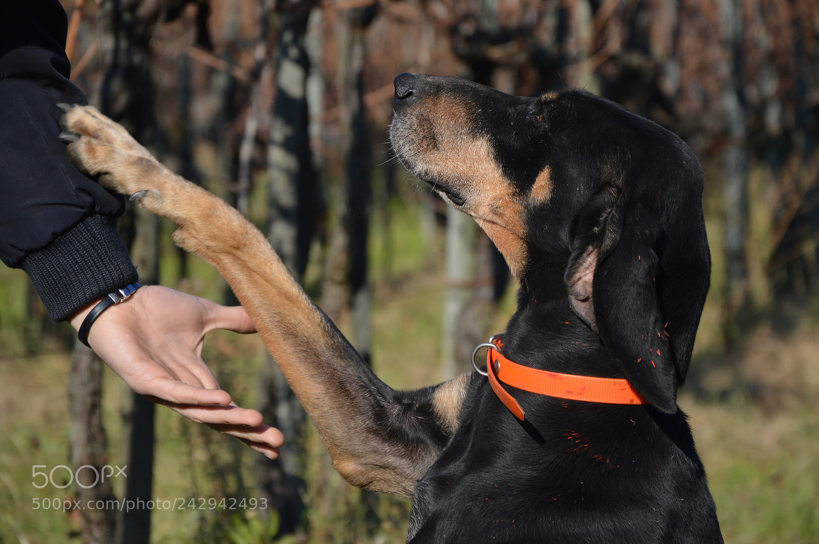 Nikon D3200 sample photo. Untitled photography