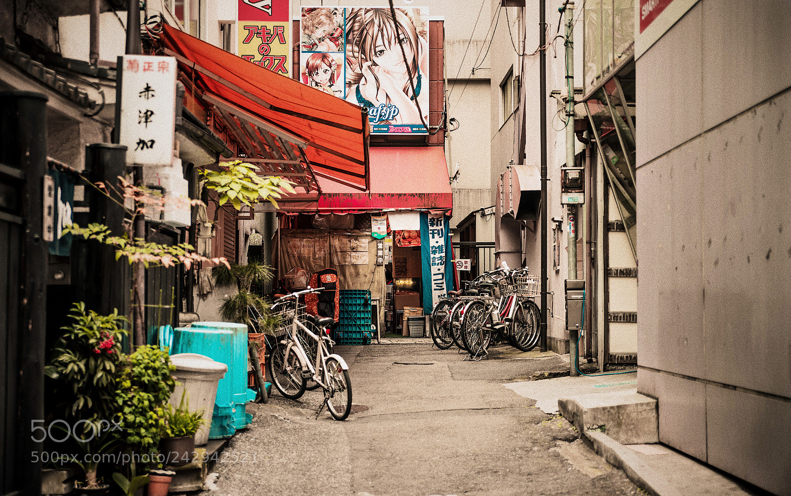 Nikon D810 sample photo. Street photography