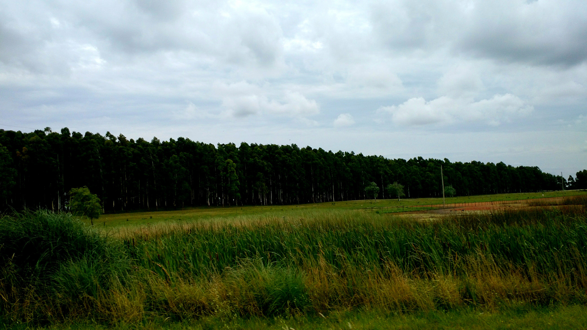 Motorola Moto X (2nd Gen) sample photo