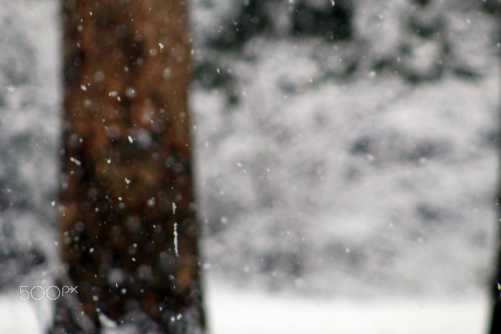 Canon EOS 1300D (EOS Rebel T6 / EOS Kiss X80) sample photo. Snow! photography
