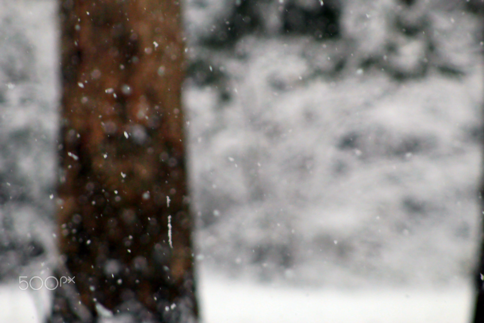 Canon EOS 1300D (EOS Rebel T6 / EOS Kiss X80) + EF75-300mm f/4-5.6 sample photo. Snow! photography