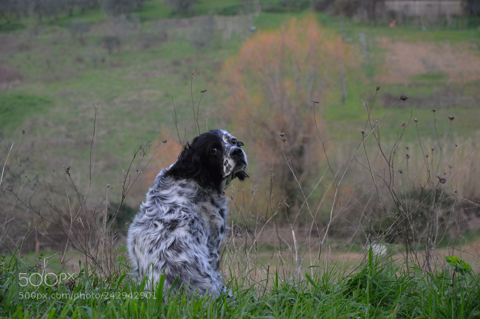 Nikon D3200 sample photo. Untitled photography