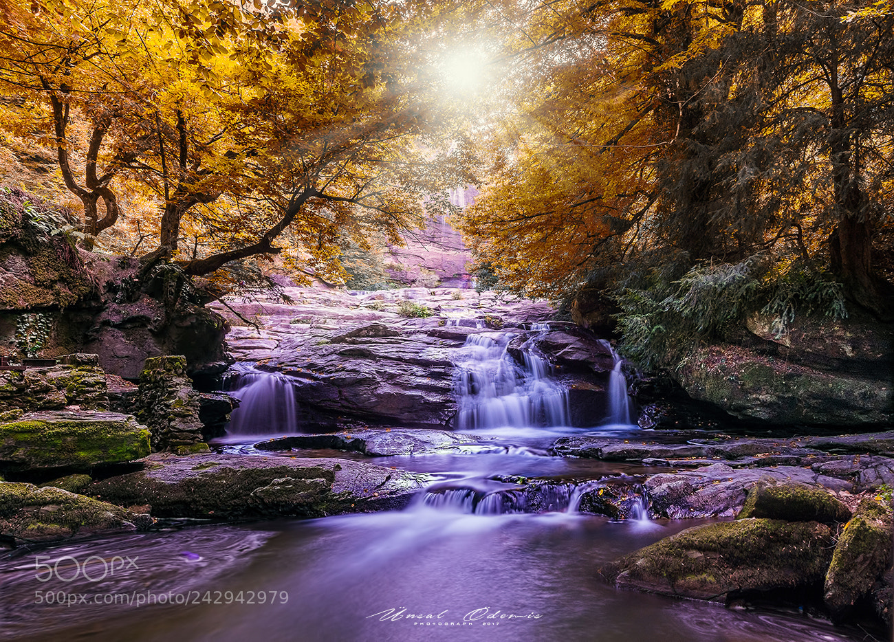 Nikon D810 sample photo. Colors of nature 10 photography