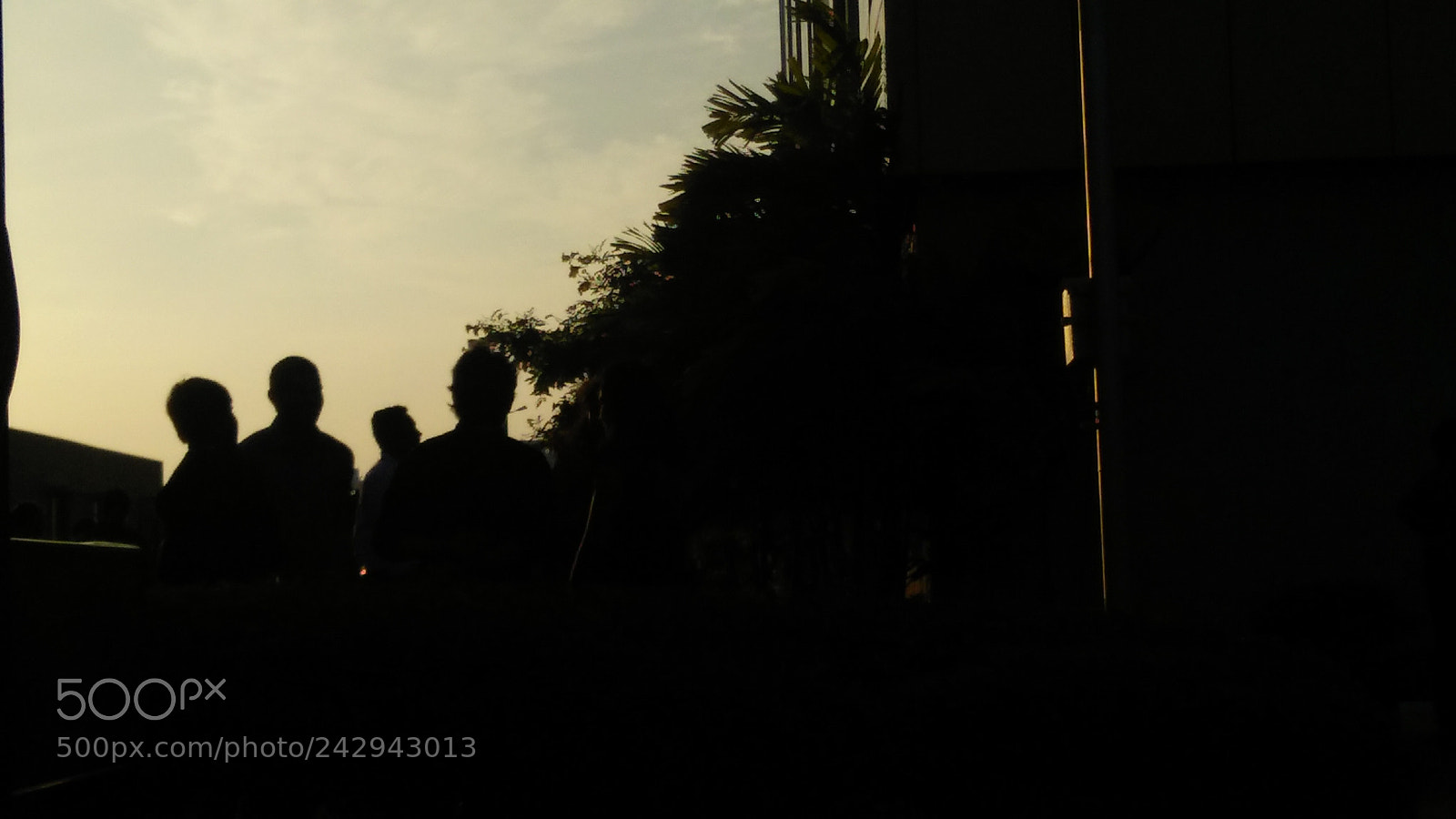 OPPO A33f sample photo. A good eve photography