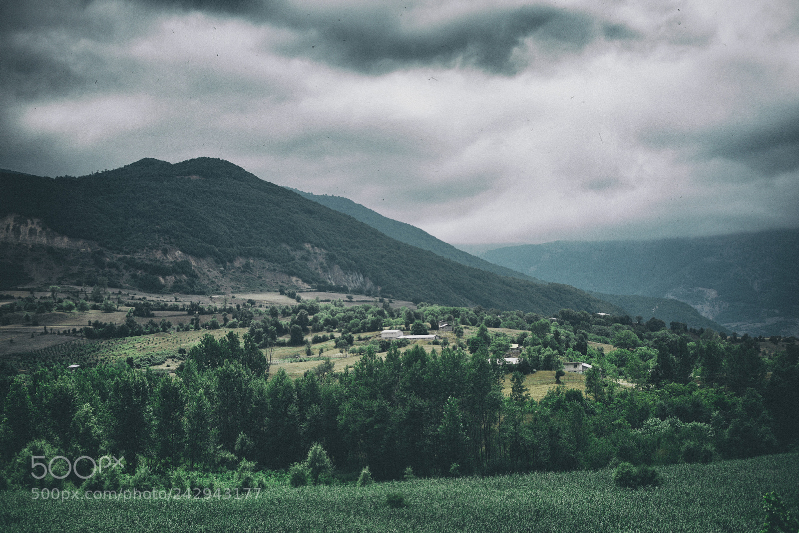Nikon D810 sample photo. Untitled photography