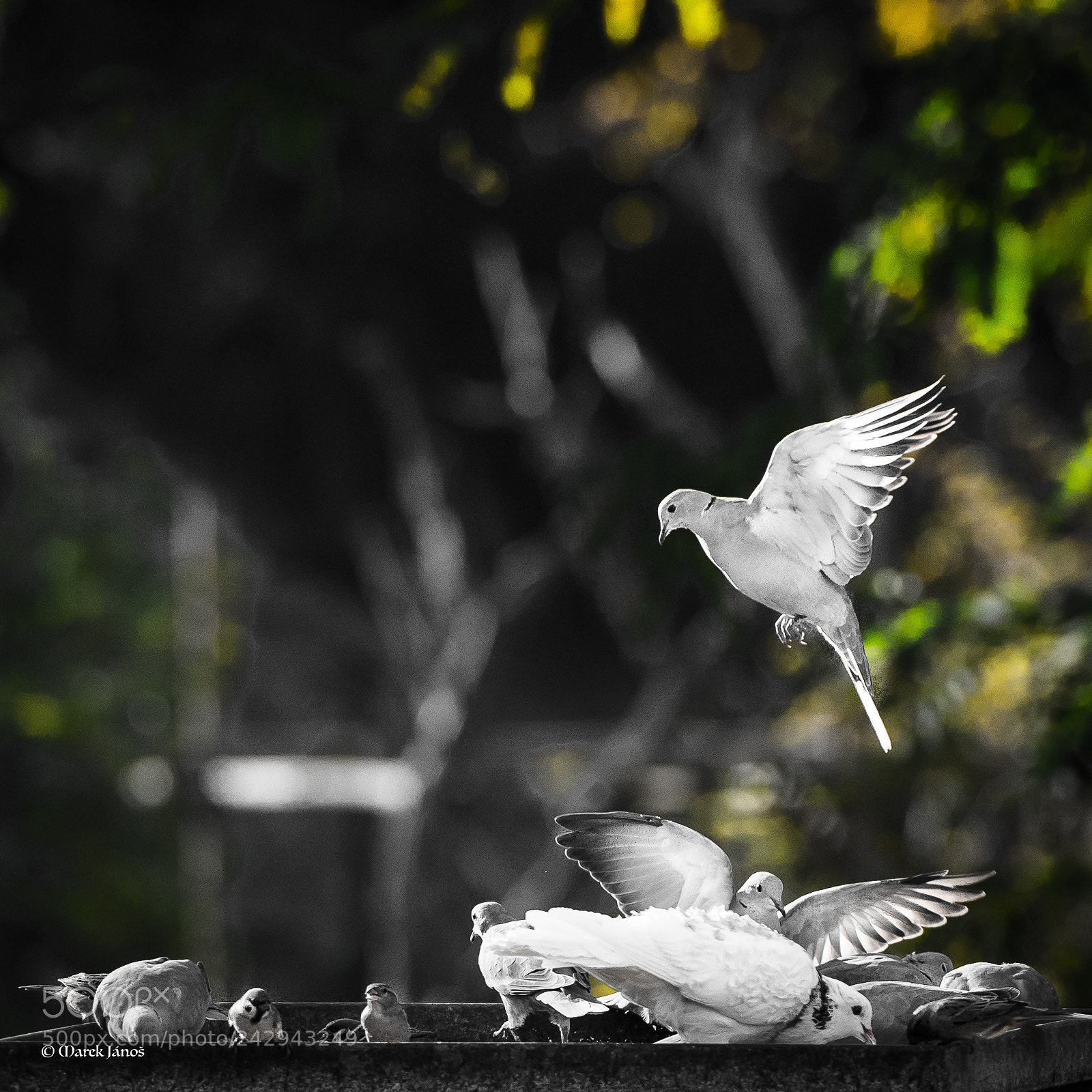 Nikon D800 sample photo. A view from above photography