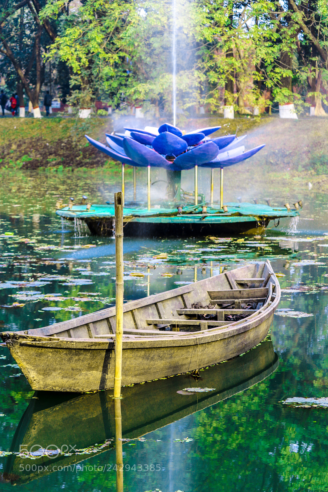 Canon EOS 750D (EOS Rebel T6i / EOS Kiss X8i) sample photo. Water lily photography