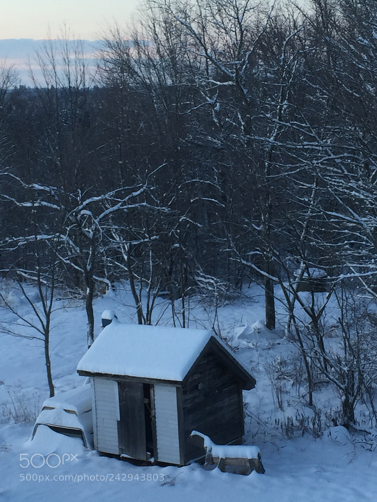 Apple iPhone 6 sample photo. Beautiful fluffy snow photography