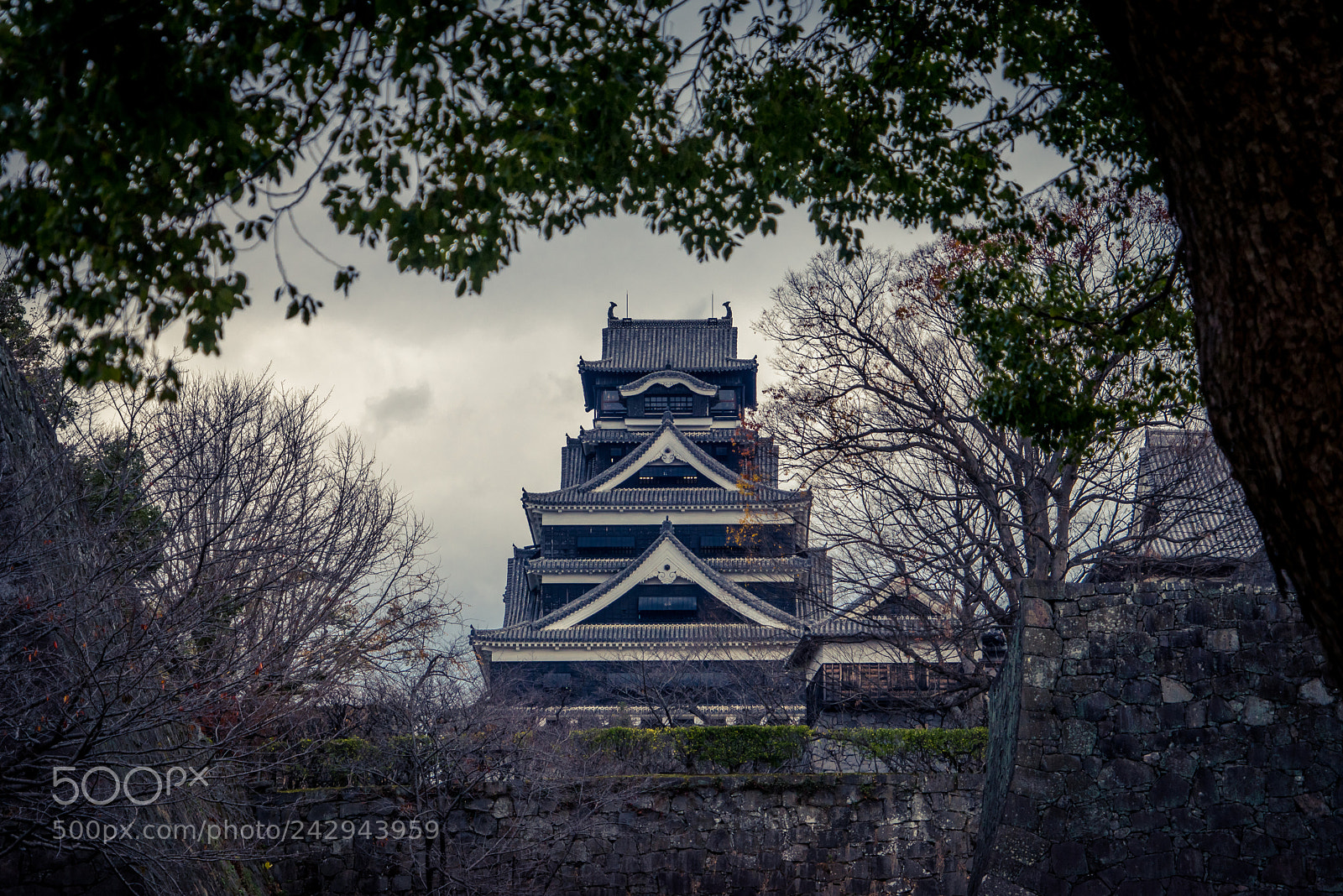 Sony a7R sample photo. Kumamoto castle photography