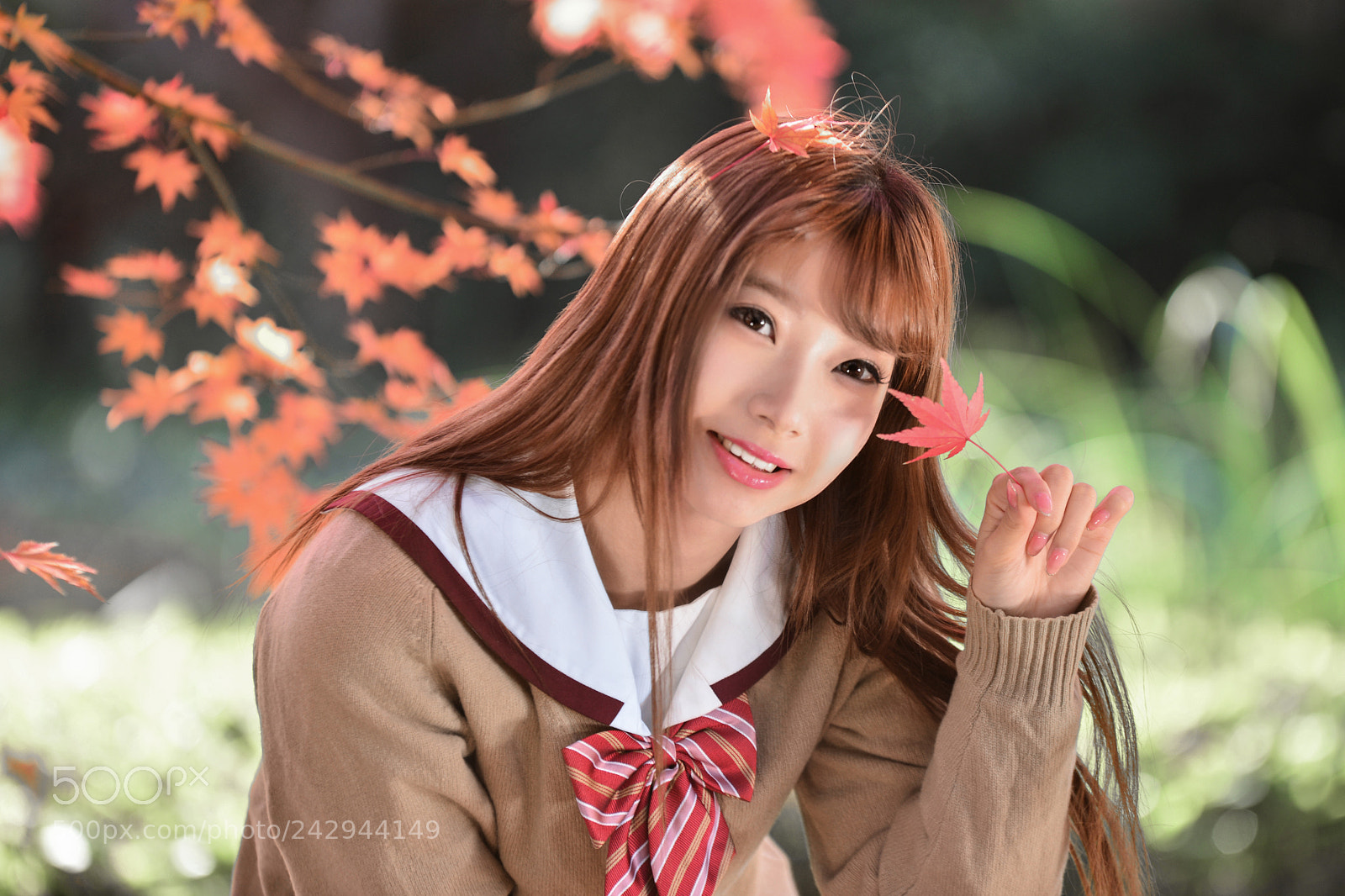 Nikon D610 sample photo. Rose 4 photography