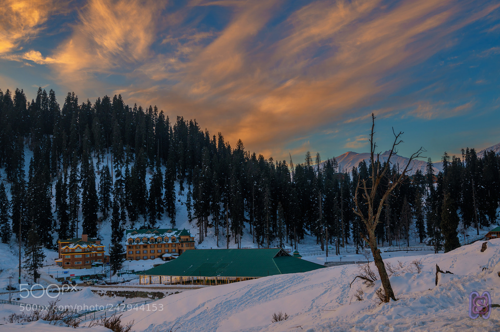 Nikon D850 sample photo. First rays photography