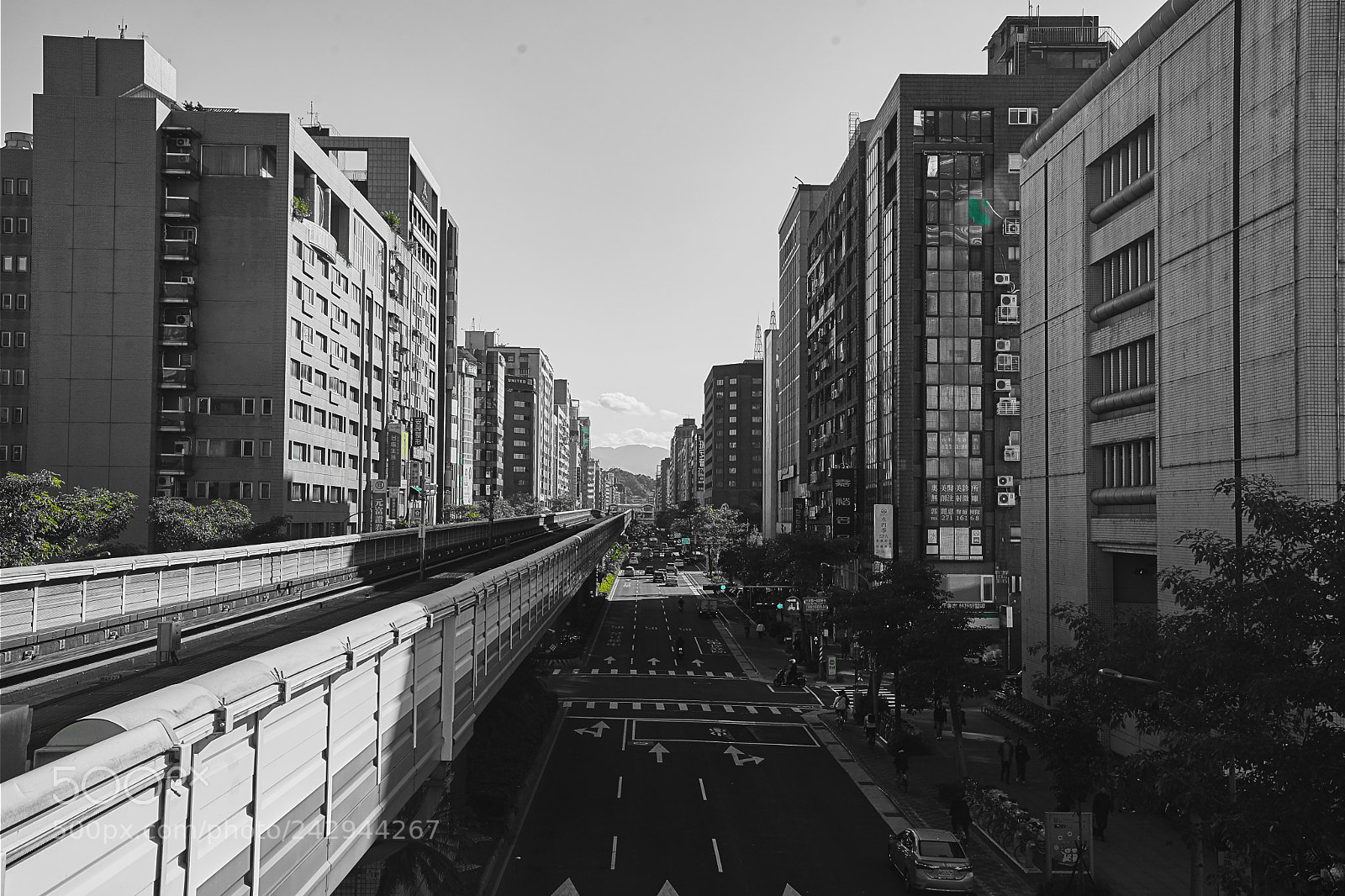 Sony a7 II sample photo. The green of taipei photography