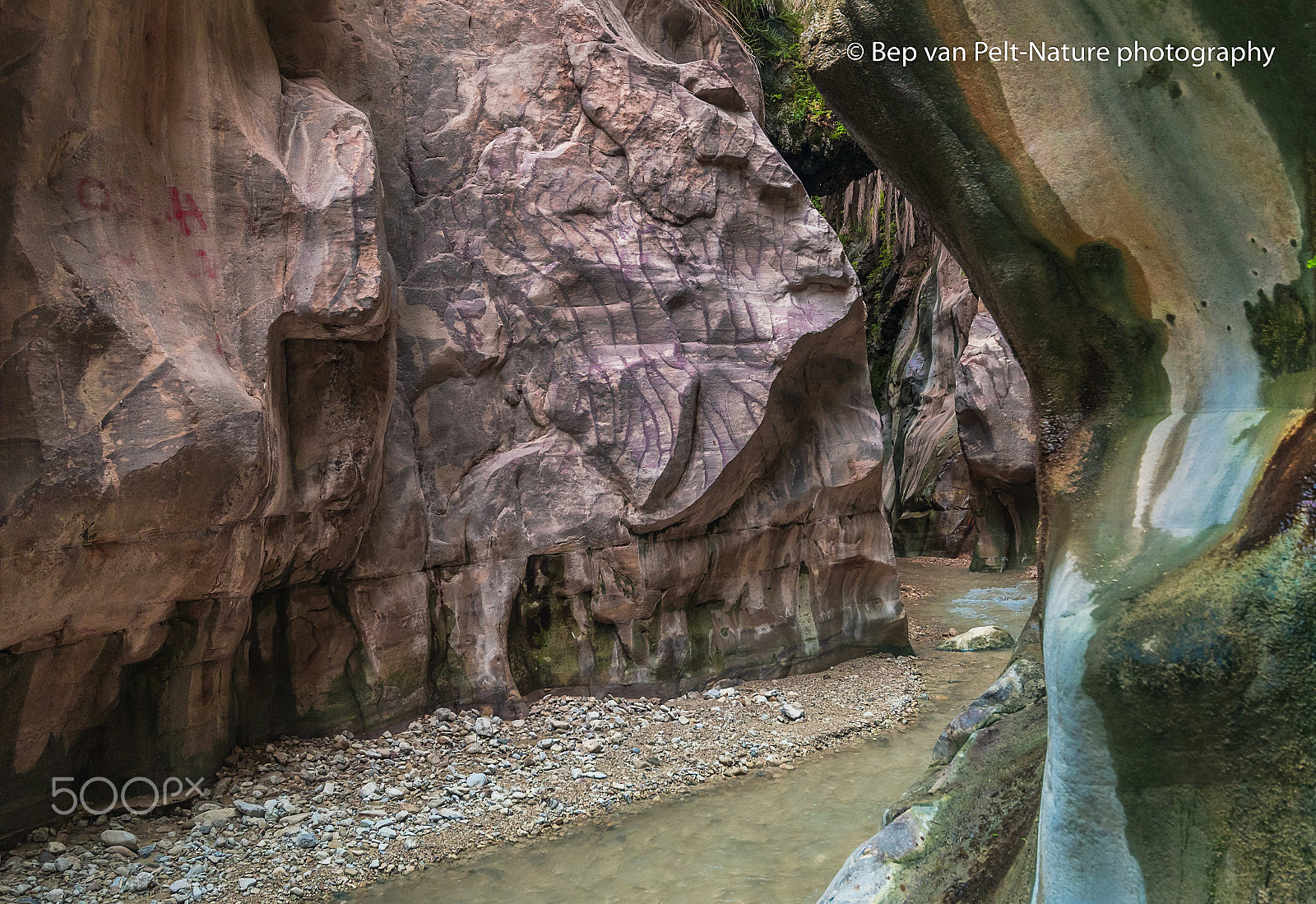 Nikon D500 sample photo. Wadi ibn al hammad photography