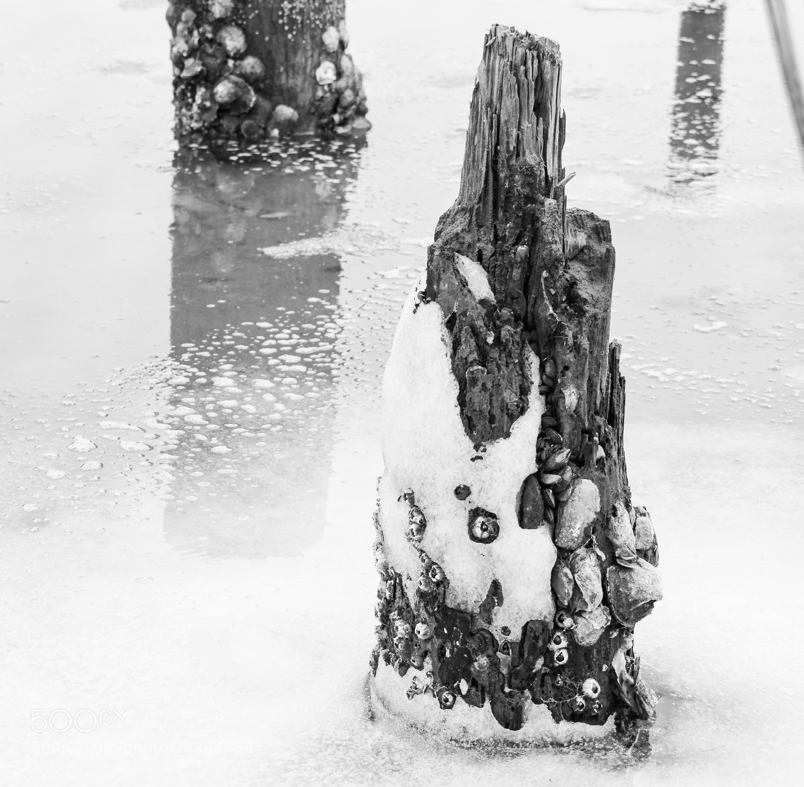 Nikon D3400 sample photo. Frosty pillar photography