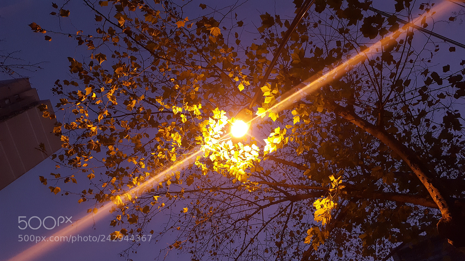 Samsung Galaxy S6 sample photo. Untitled photography