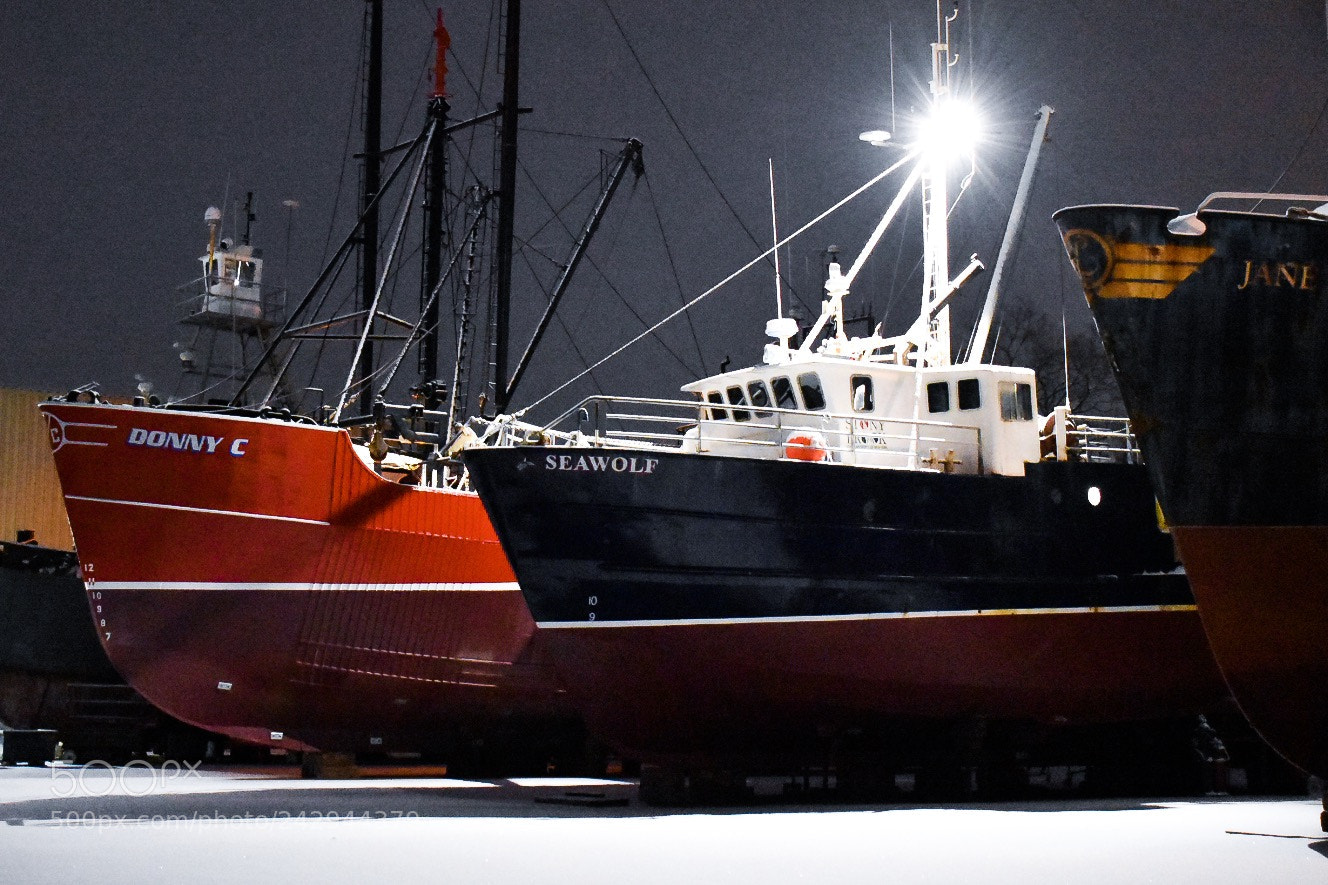 Nikon D3400 sample photo. Boat out of water photography