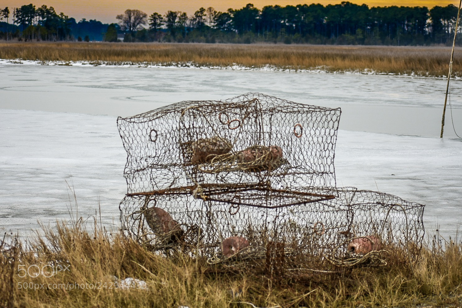 Nikon D3400 sample photo. Crab pots photography