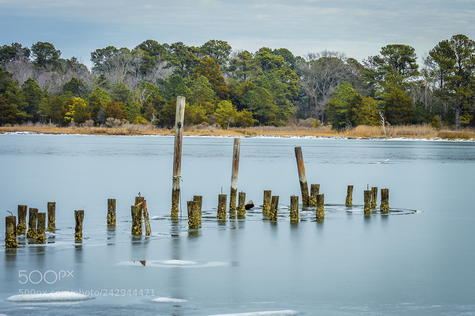 Nikon D3400 sample photo. Demolished dock photography