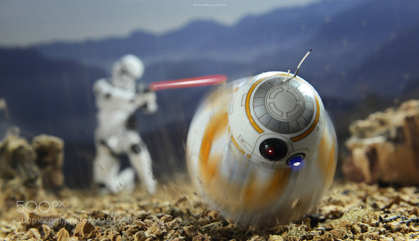 Nikon D600 sample photo. 'run:/_bb/_run' photography