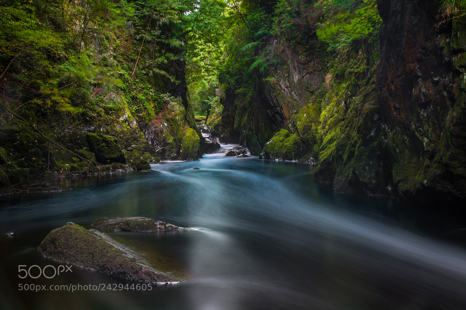Canon EOS 7D Mark II sample photo. The faires glen north photography