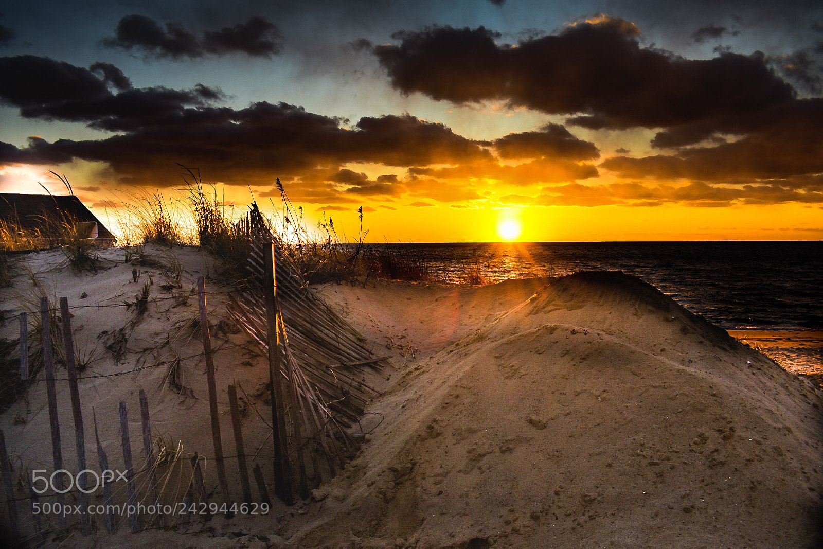 Nikon D3400 sample photo. Dune sunburst photography