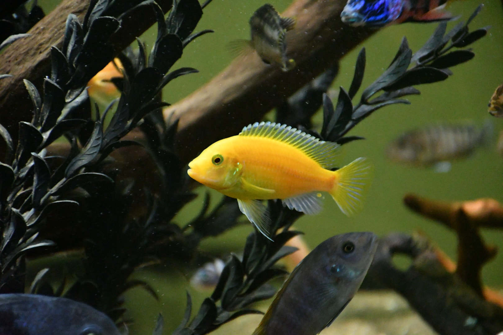 Nikon D7500 sample photo