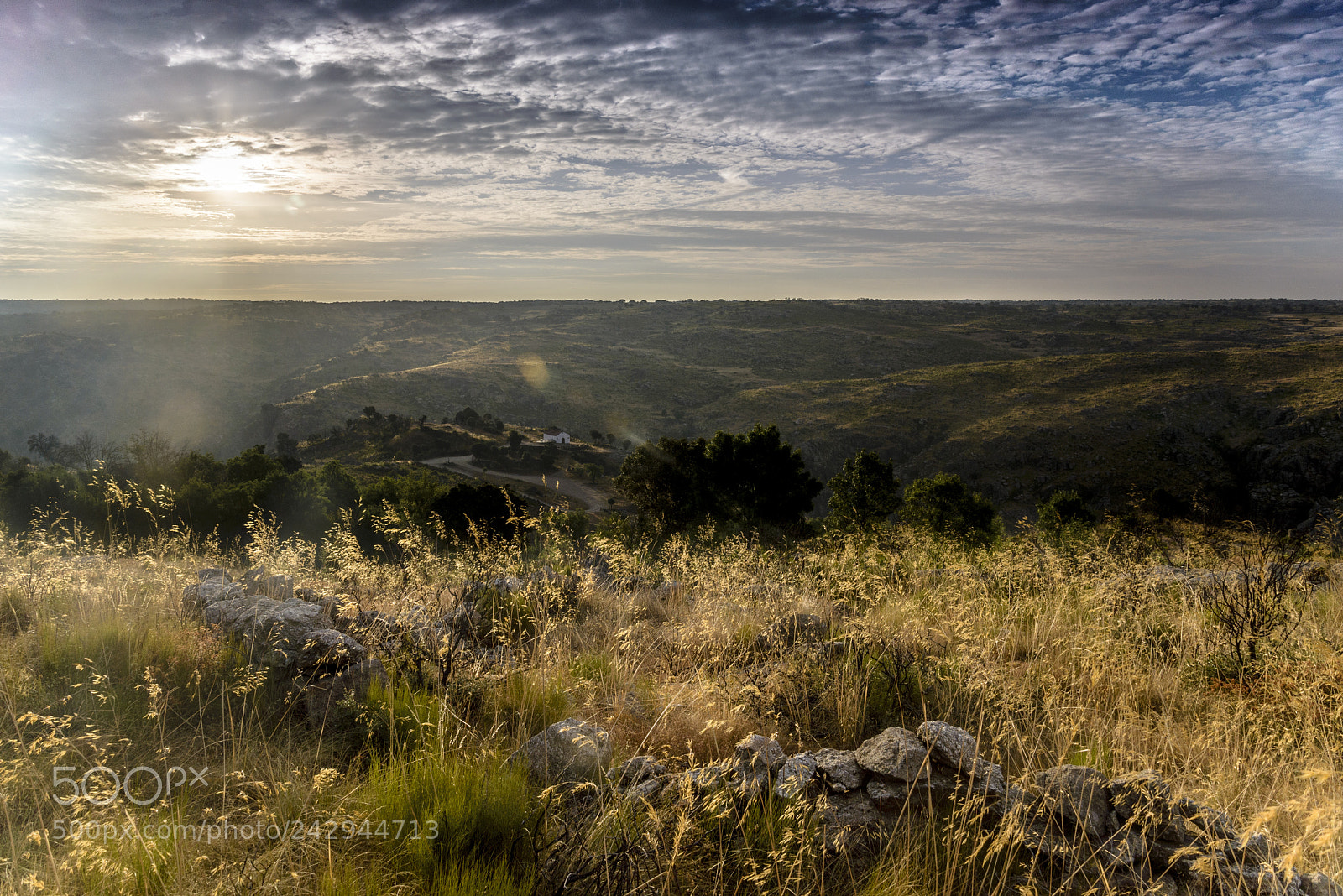 Nikon D610 sample photo. Sunrise in miranda photography