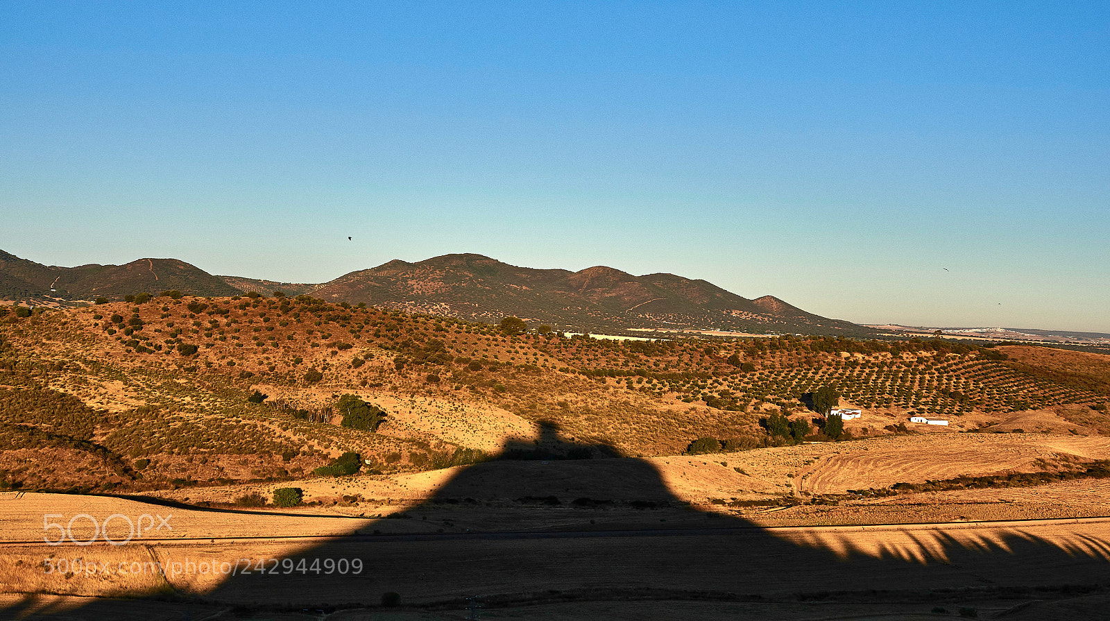 Olympus OM-D E-M5 II sample photo. Sombra del castillo de photography