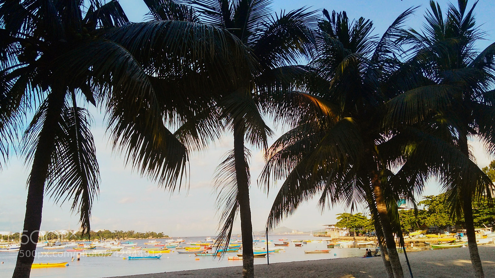 Motorola Moto G Play sample photo. Coqueiros photography