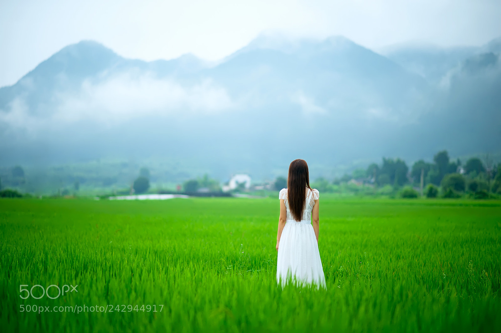 Nikon Df sample photo. Untitled photography