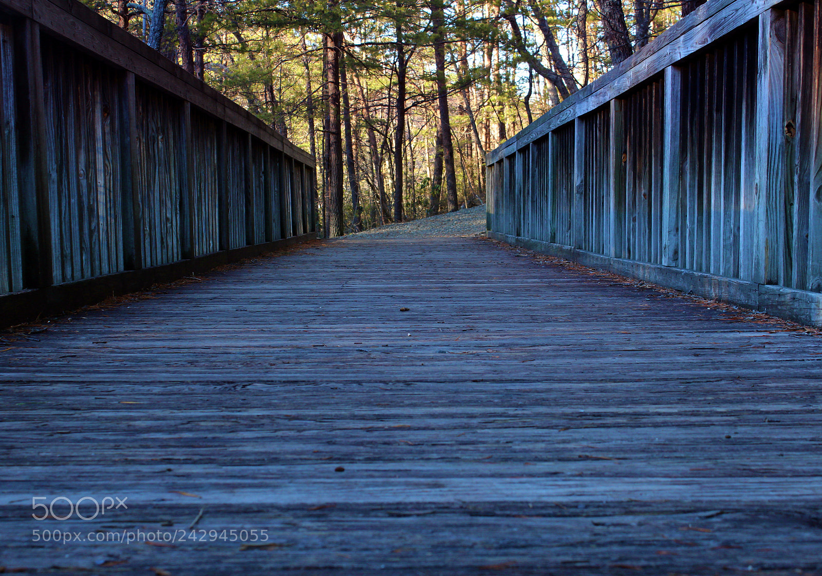 Canon EOS 1300D (EOS Rebel T6 / EOS Kiss X80) sample photo. Wood bridge photography