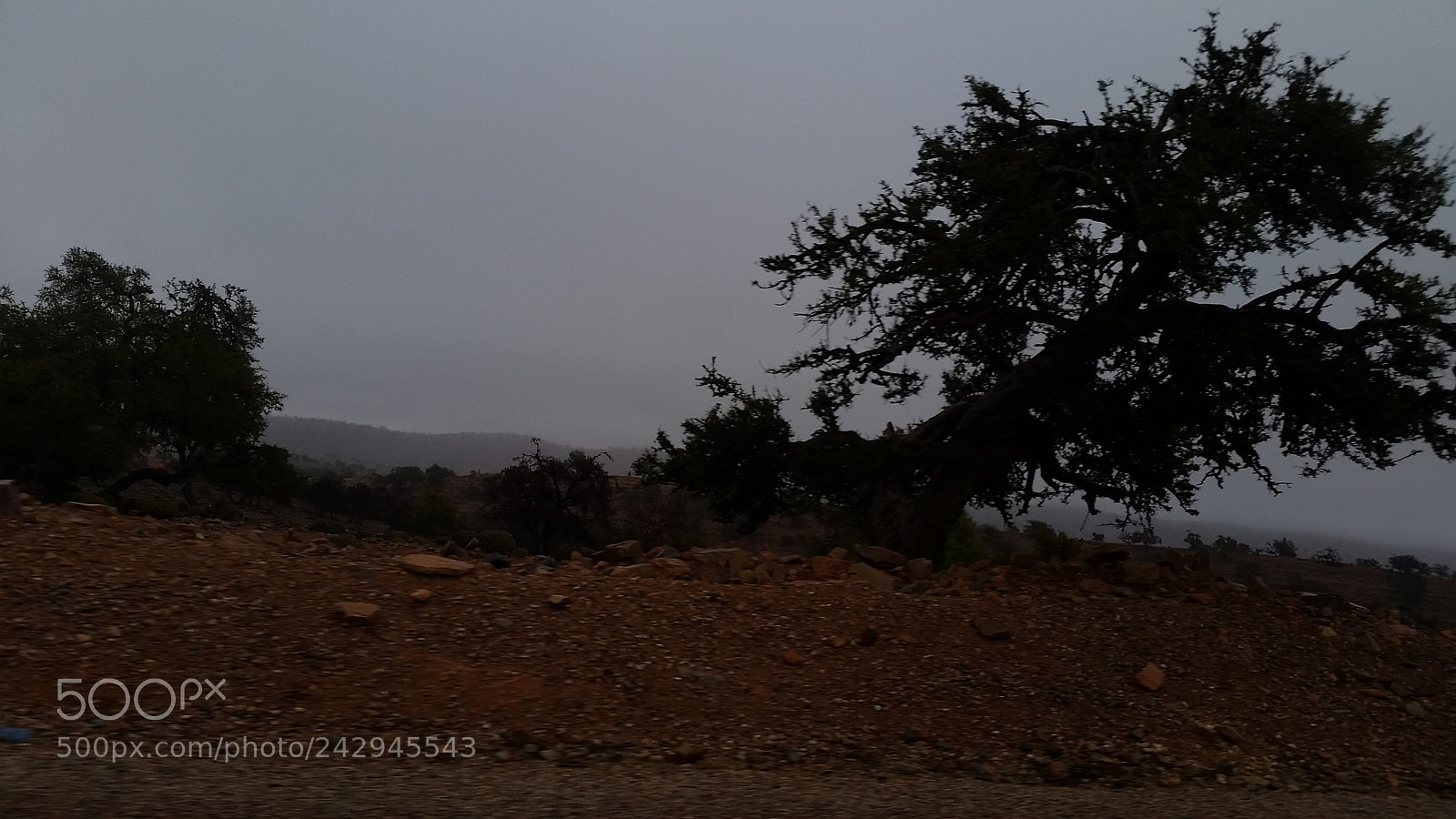 Samsung Galaxy S5 sample photo. Untitled photography