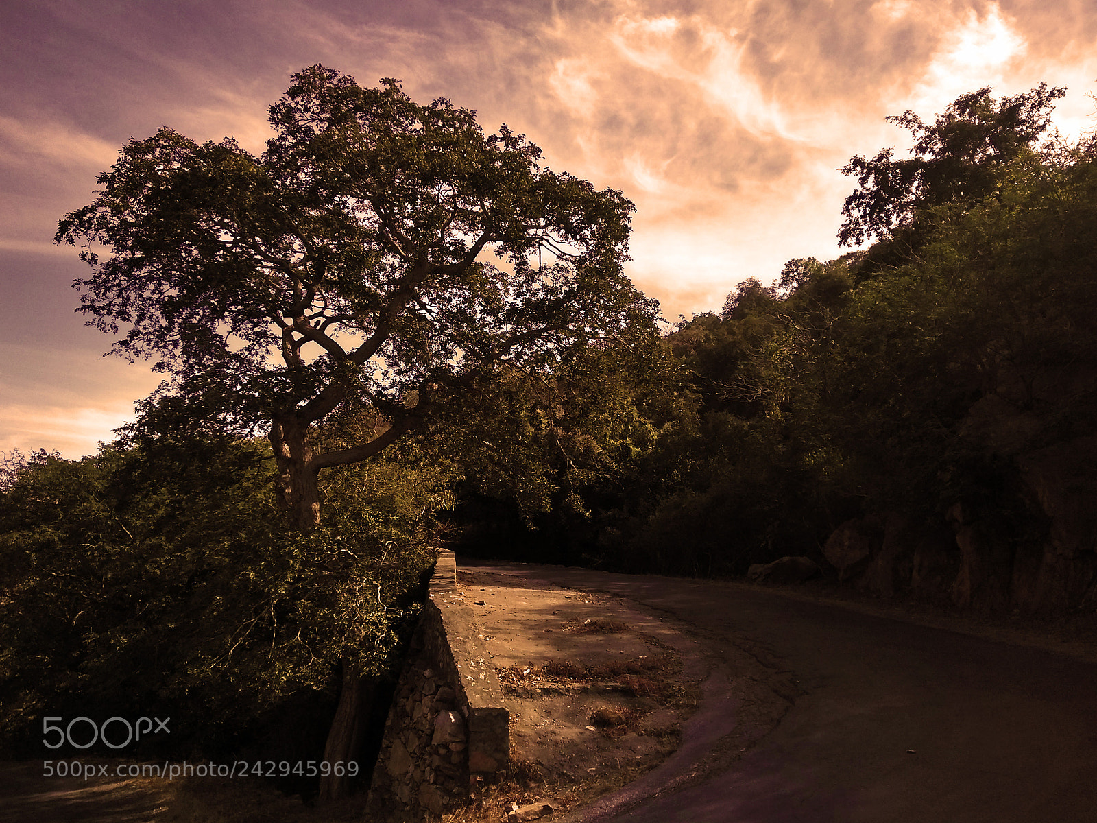Motorola Moto G (5S) Plus sample photo. Hilly roads photography