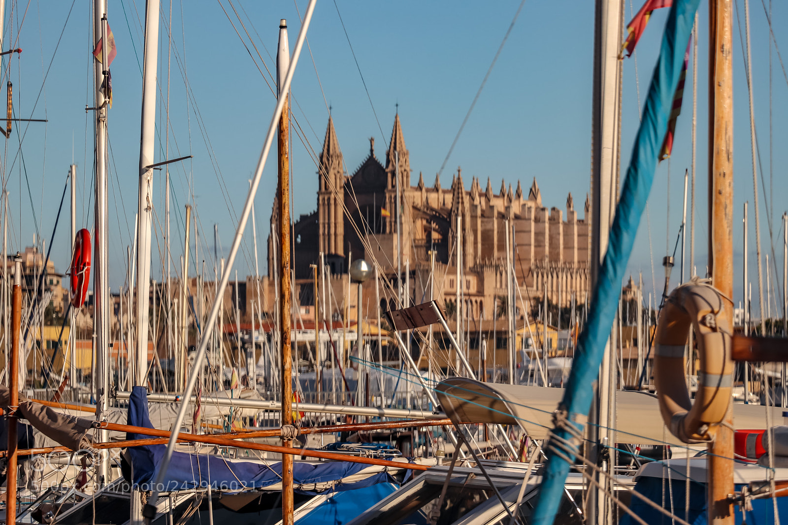 Canon EOS 77D (EOS 9000D / EOS 770D) sample photo. View of cathedral of photography