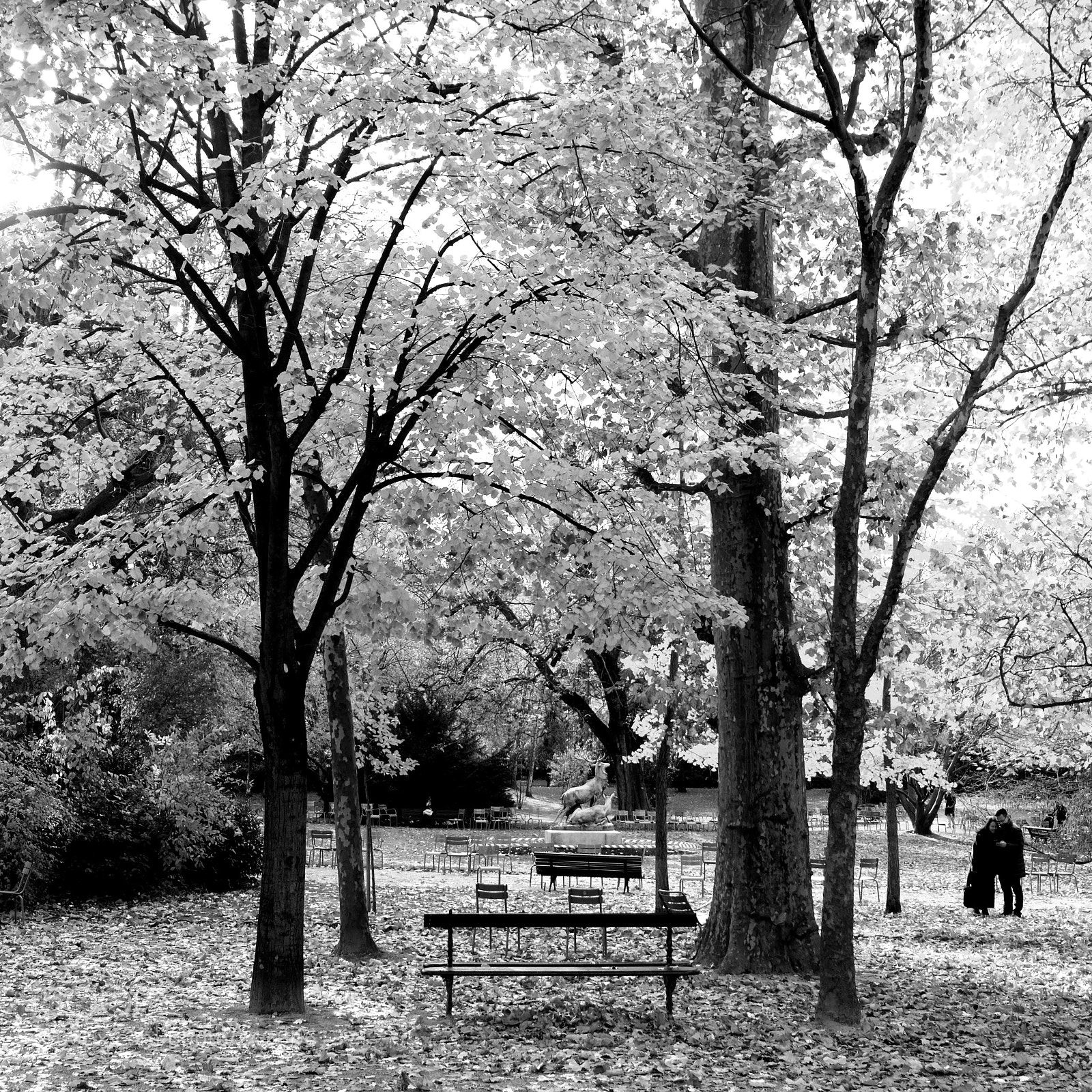 Fujifilm X-Pro2 sample photo. In the park. photography