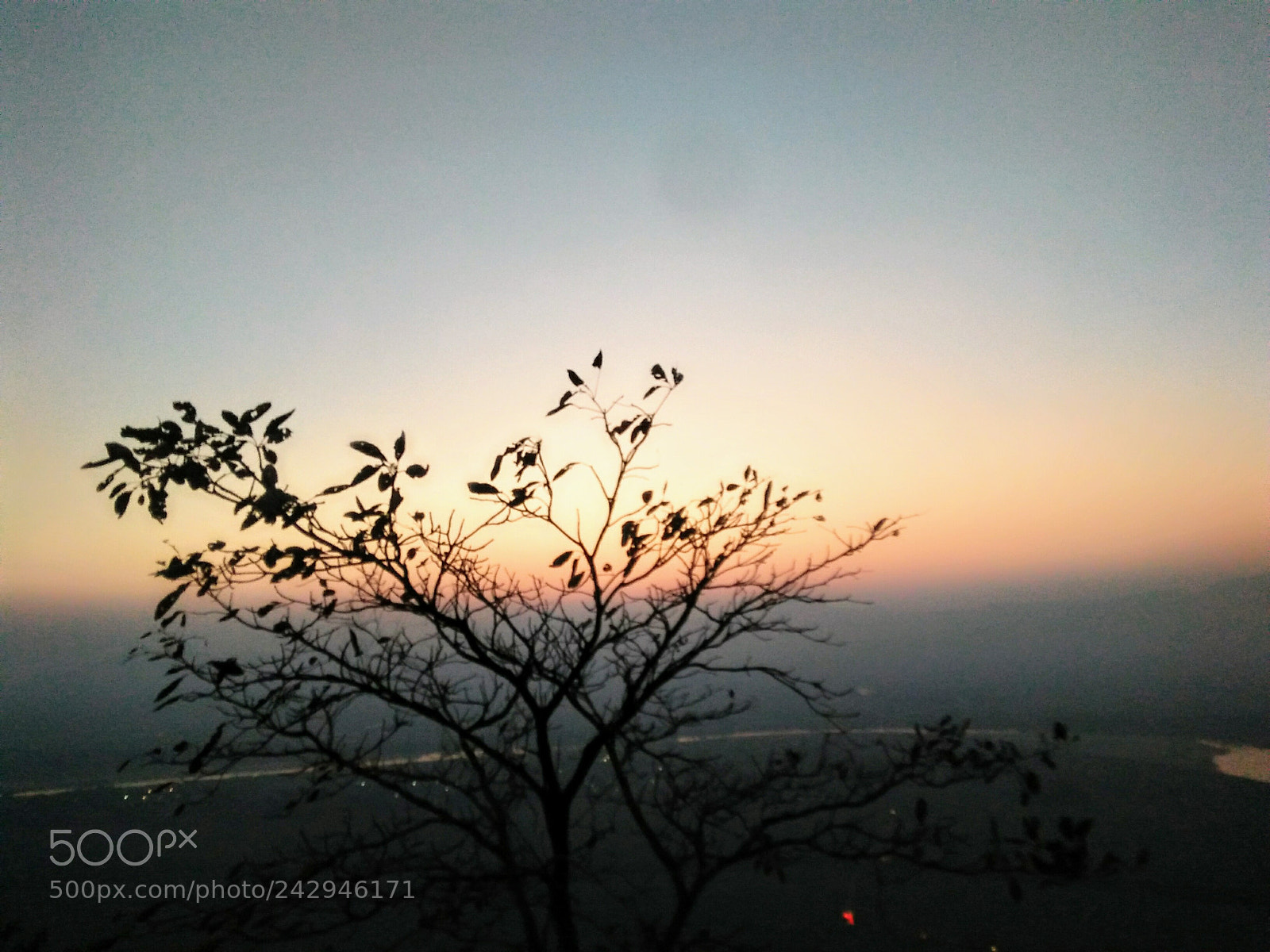 OPPO A37fw-International sample photo. Untitled photography