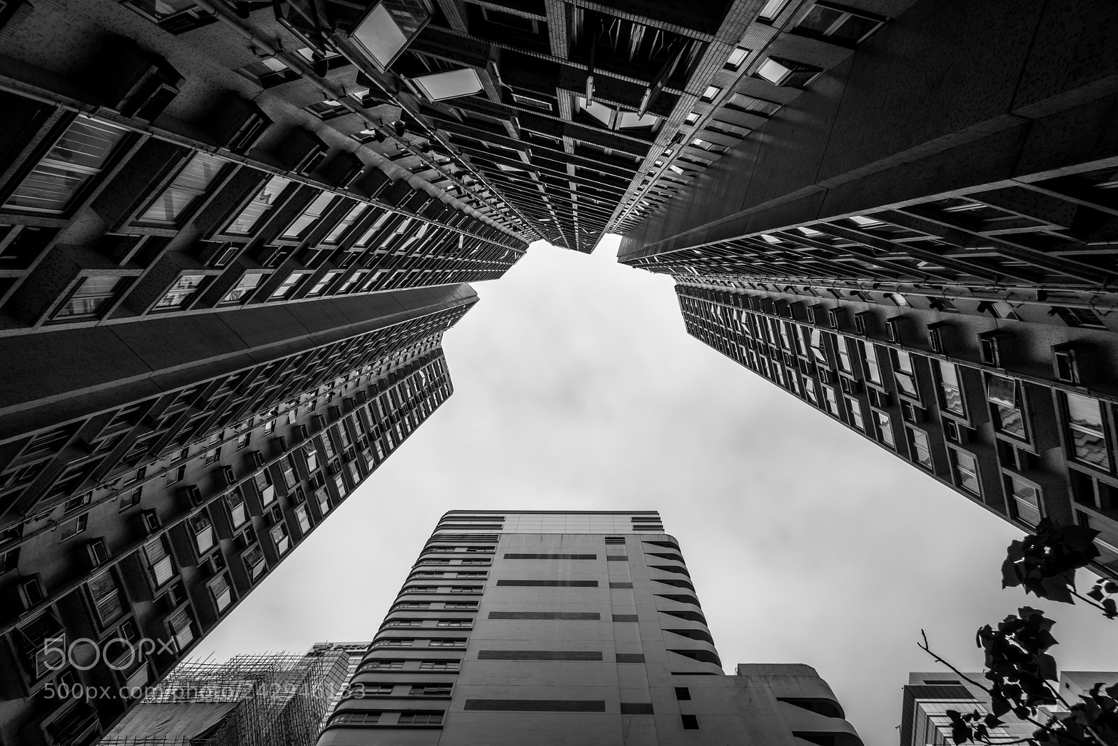 Sony a7R sample photo. Skyward photography