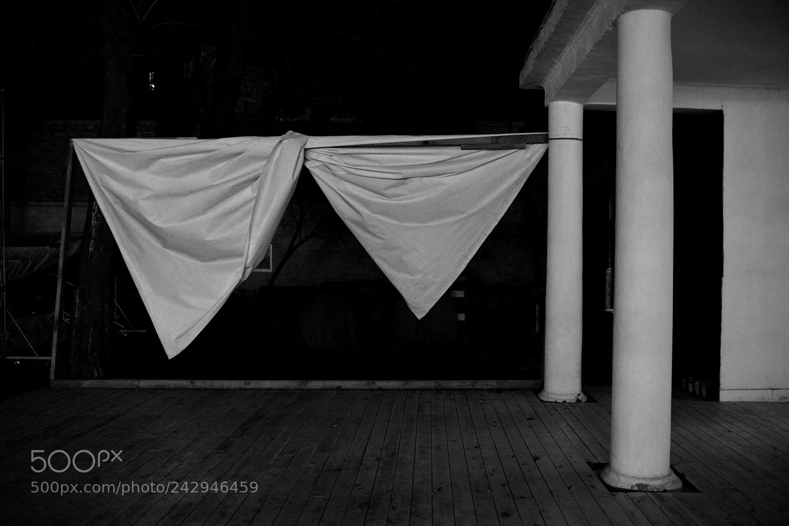 Nikon D600 sample photo. Untitled photography