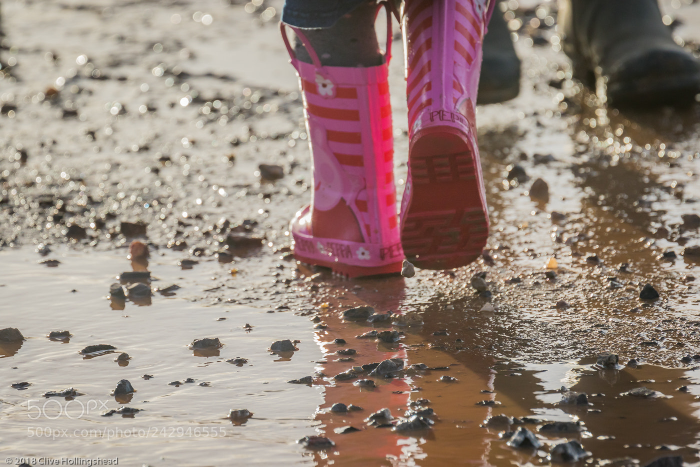 Canon EOS 7D Mark II sample photo. Puddle time photography