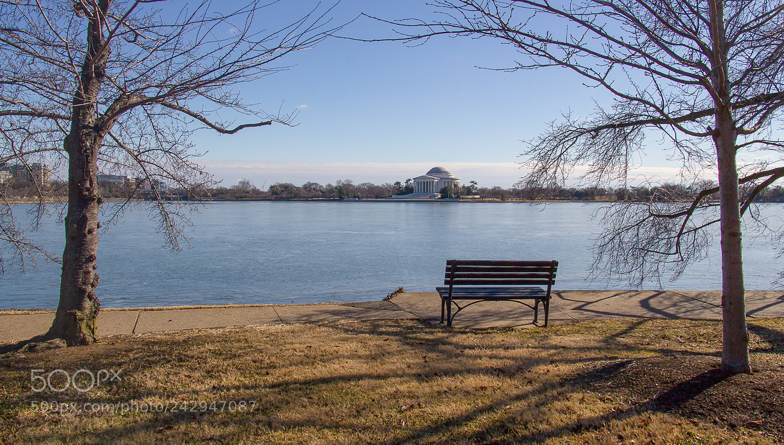 Canon EOS 550D (EOS Rebel T2i / EOS Kiss X4) sample photo. Along a frozen tidal photography
