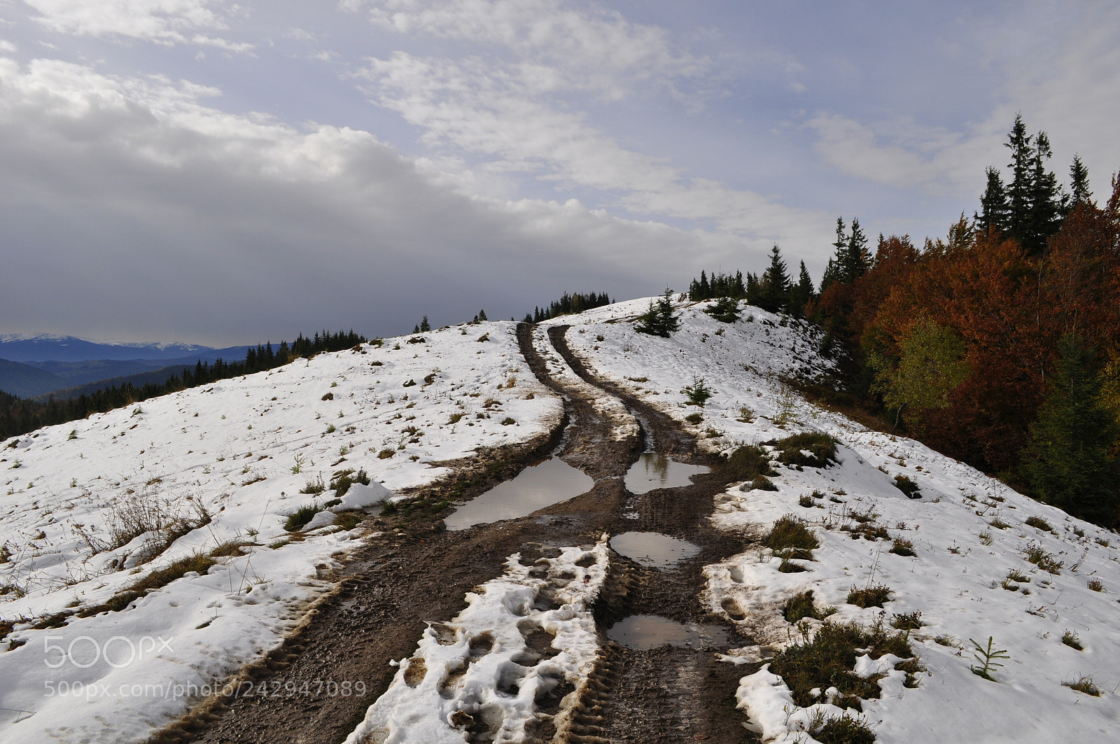 Nikon D5000 sample photo. The road photography