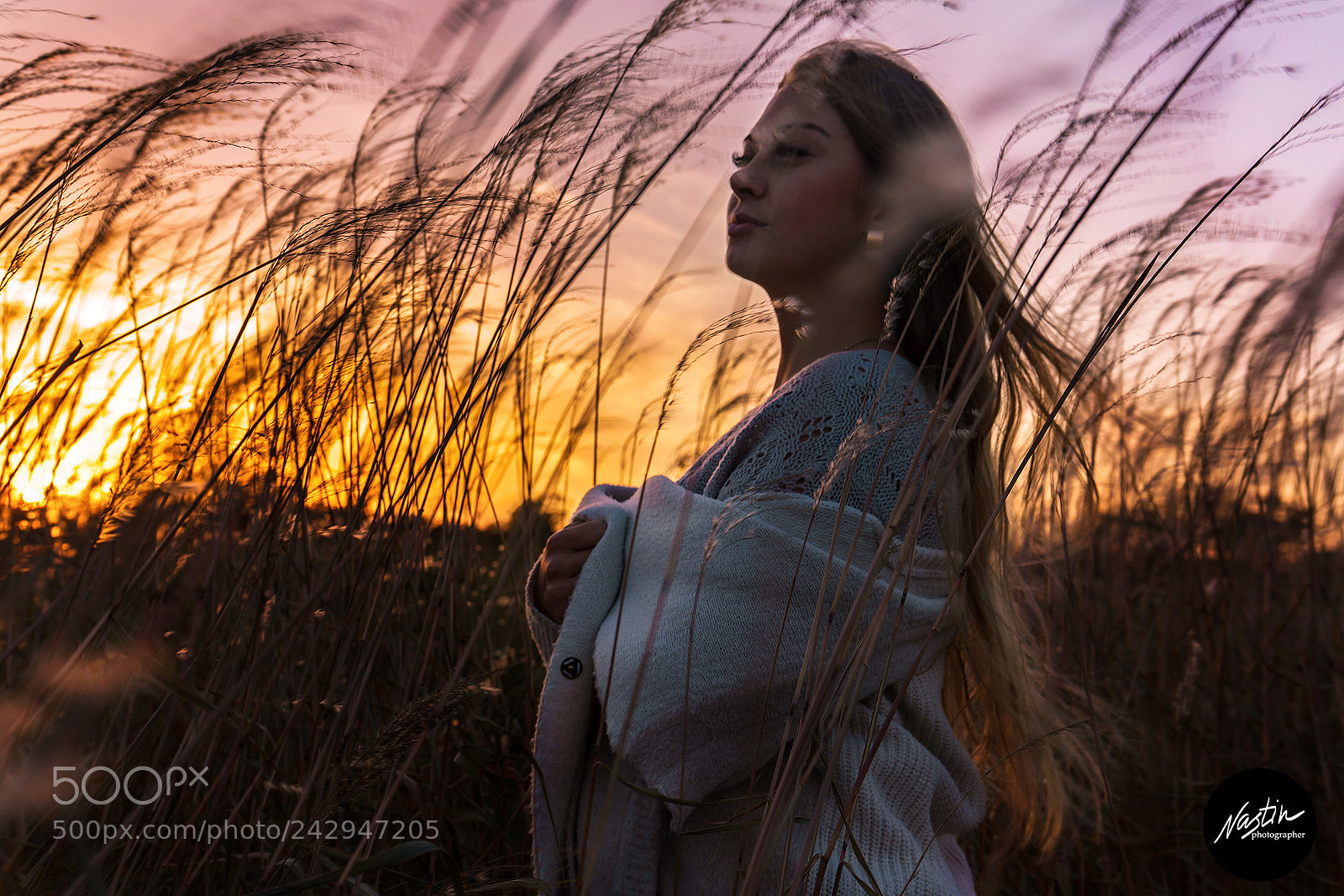 Sony a7 II sample photo. закат photography