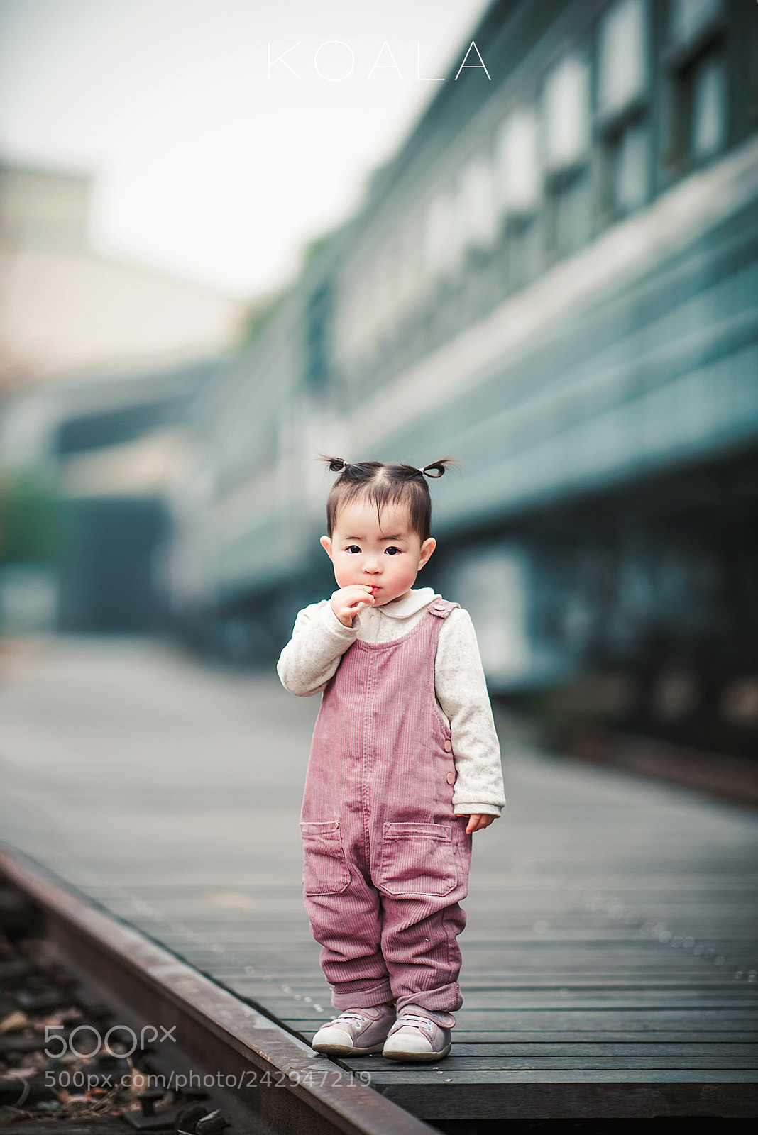 Nikon D810 sample photo. 頭上有犄角 photography