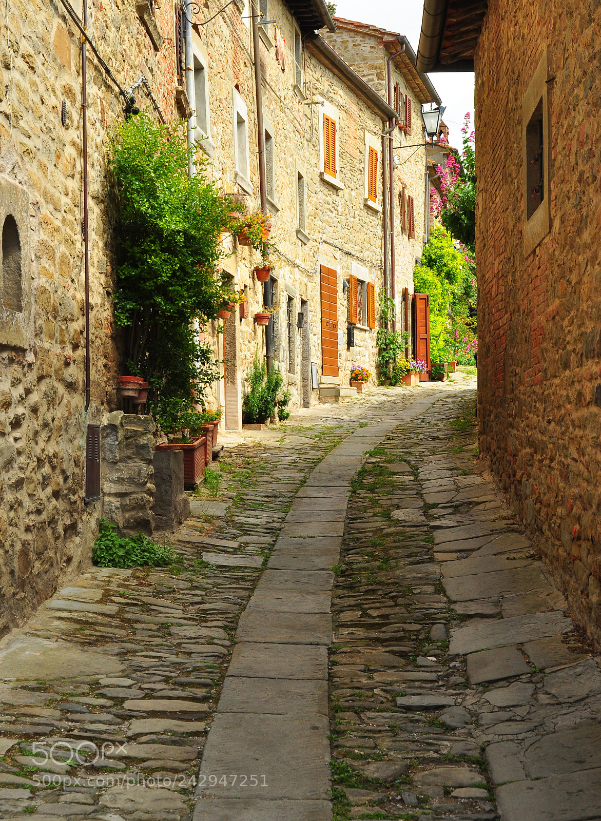 Nikon D90 sample photo. Authentic toscana photography