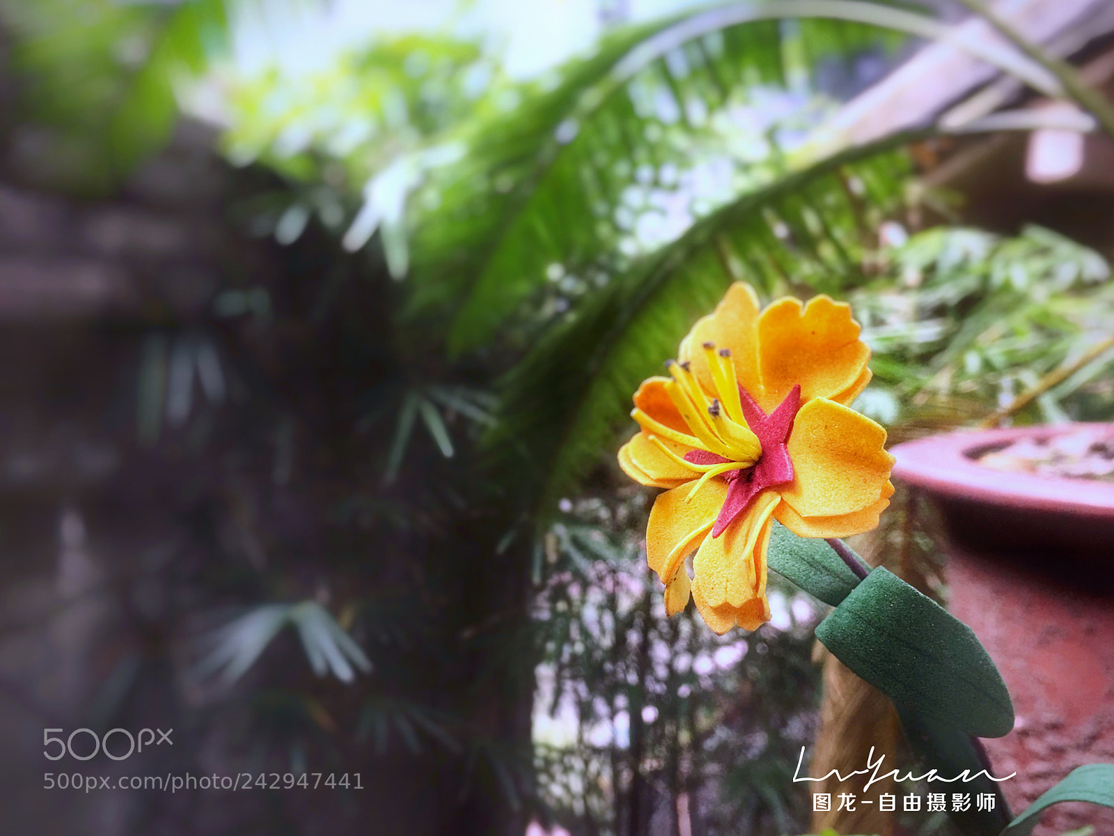 Apple iPhone 6s Plus sample photo. Untitled photography
