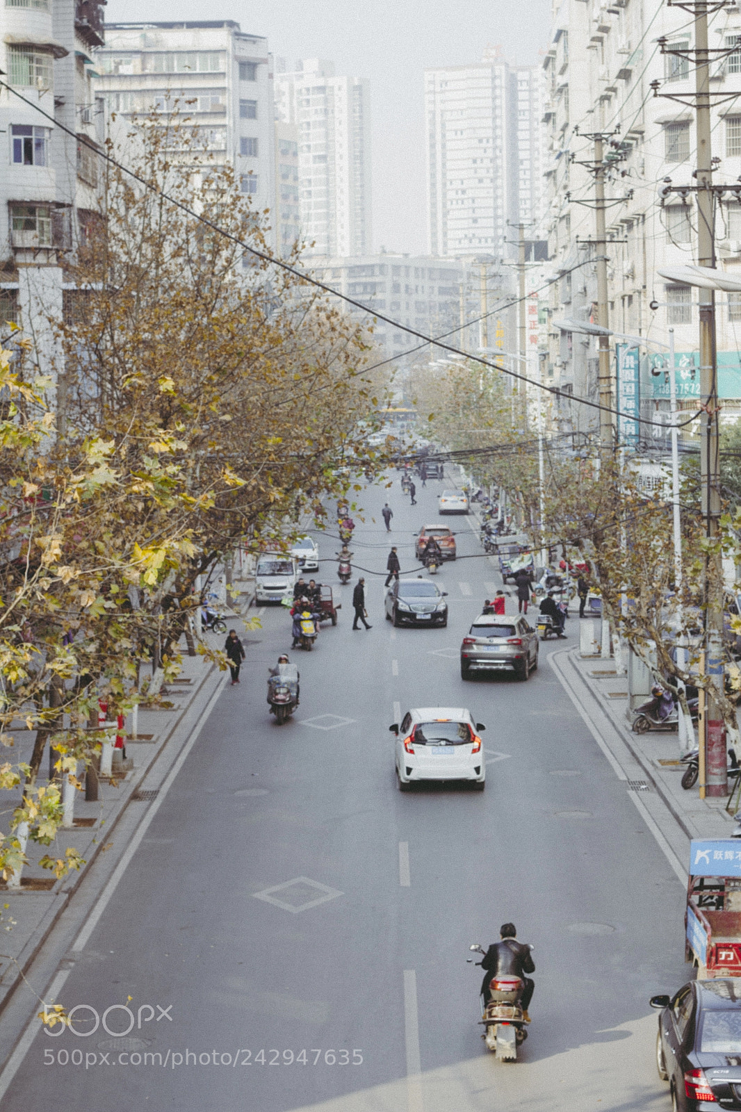 Canon EOS 60D sample photo. Street snap photography