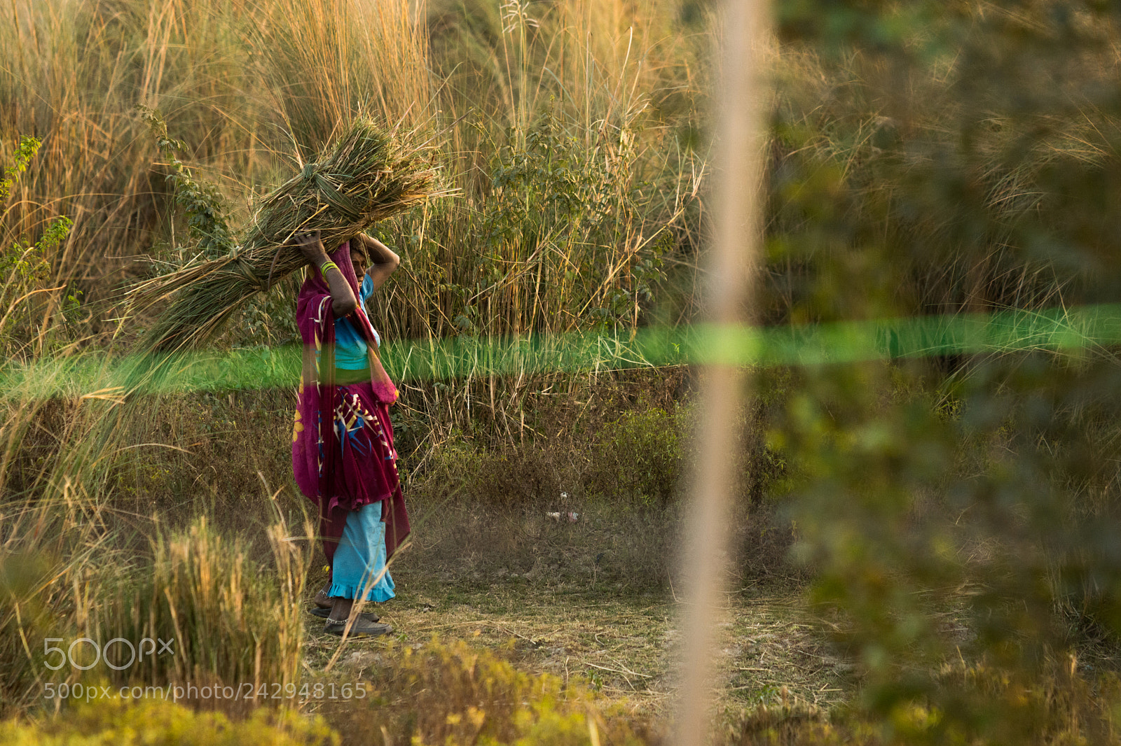 Sony SLT-A65 (SLT-A65V) sample photo. Working next to taj photography