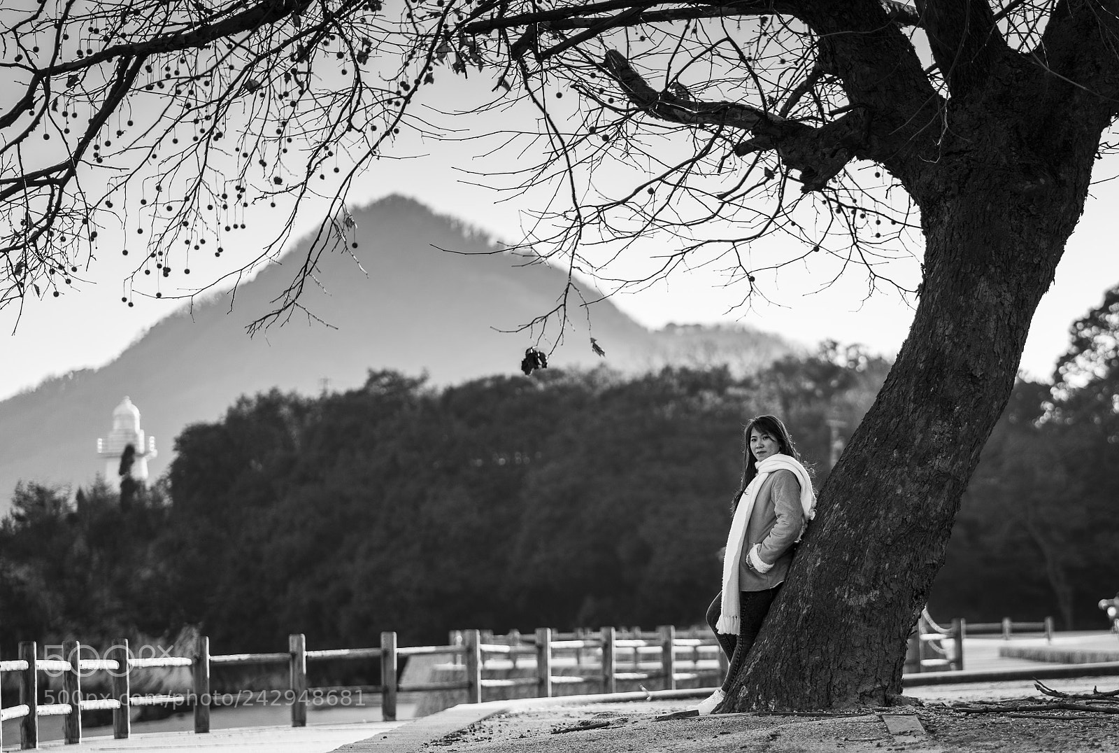 Sony a7 II sample photo. B&w photography
